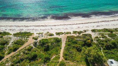 Batı Avustralya 'daki Jurien Körfezi yakınlarındaki Sandy Cape Reserve' in hava manzarasında el değmemiş kumsallar ve kumullar yer almaktadır..