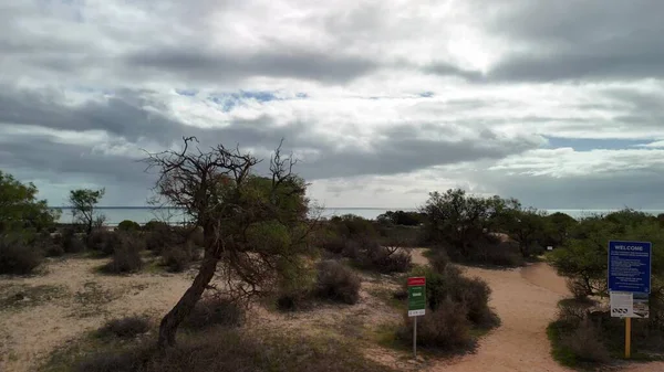 Köpek Balığı Koyu 'ndaki Hamelin Havuzu' nun insansız hava aracı görüntüsü kristal berrak su ve doğal desenlerle.