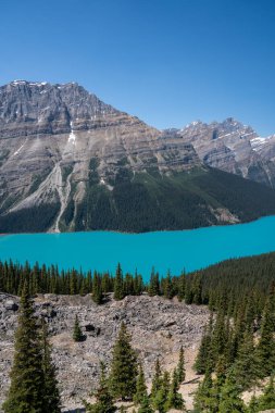 İkonik Peyto Gölü yaz boyunca canlı renkler ve manzarayla birlikte yukarıdan çekildi.