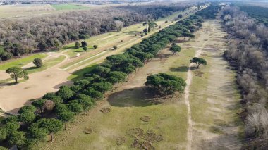 İtalya 'nın Pisa kentindeki San Rossore Doğal Parkı' nın yemyeşil ve kıyı şeridi manzarası.