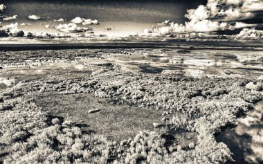Everglades Ulusal Parkı, Florida - Gün batımında panoramik hava manzarası.