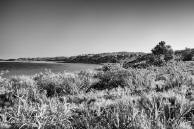 Idyllic Coral Bay plaj sahnesi, beyaz kumları, sığ mavi suları ve uzak resif ufkunu gösteriyor..