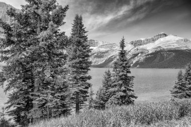 Yaz mevsiminde Peyto Gölü manzaralı Icefields Parkway boyunca turkuaz suyla.