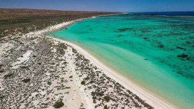 Turkuaz Körfezi Exmouth Ningaloo 'nun temiz turkuaz okyanus ve el değmemiş sahil şeridiyle drone görüntüsü..