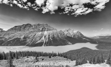 Peyto Gölü 'nün buzul tarlaları boyunca Alp tepeleri ve ormanlık kıyıları olan Alberta Canada Vista' nın ebedi siyah beyaz fotoğrafı..