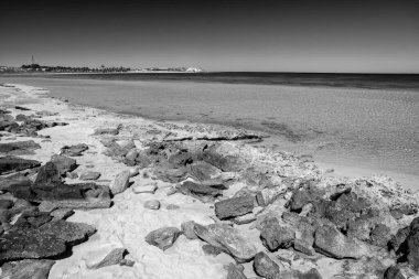 Coral Bay sahilindeki sakin kış sahnesinde sığ gök mavisi okyanuslar güzel kum kabukları ve uzak resif ufku WA kıyı inzivası.