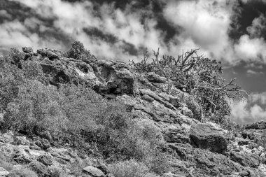 Yardie Creek Batı Avustralya yakınlarındaki Mandu Mandu 'da doğal kayalık arazi ve çöl bitkisi açık güneşli havada..
