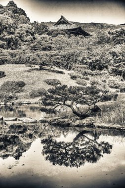 Nara, Japonya. Isuien Bahçesi ve güneşli bir bahar gününde ağaçlar.
