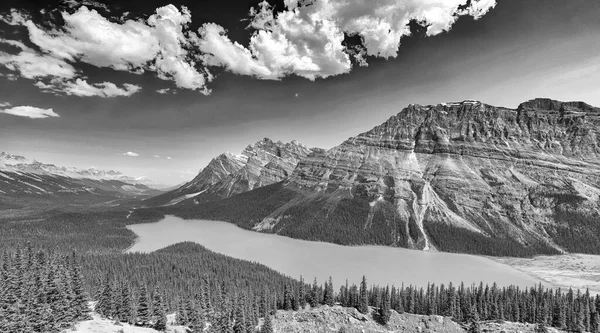Peyto Gölü 'nün buzul tarlaları boyunca Alp tepeleri ve ormanlık kıyıları olan Alberta Canada Vista' nın ebedi siyah beyaz fotoğrafı..