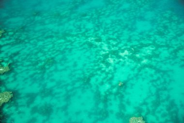 Queensland mercan resifinin güzel hava manzarası kıyı şeridinin üstündeki uçaktan fotoğraflandı..
