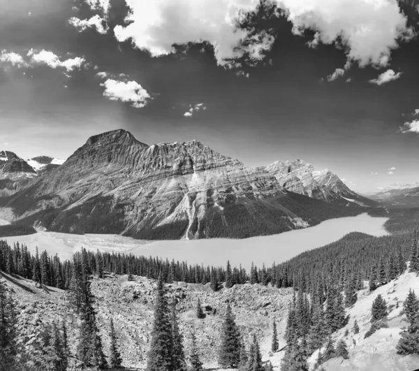 Peyto Gölü 'nün buzul tarlaları boyunca Alp tepeleri ve ormanlık kıyıları olan Alberta Canada Vista' nın ebedi siyah beyaz fotoğrafı..