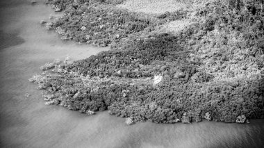 Queensland Okyanusu ve WhitSunday Adaları 'nın turkuaz suları olan uçaktan havadan görünüşü.