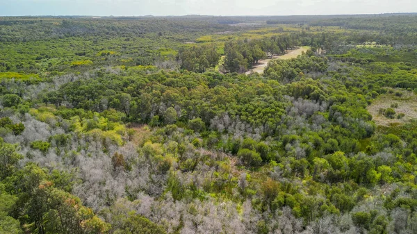 Yanchep Ulusal Parkı 'nın havadan görünüşü, Batı Avustralya' da yemyeşil ve doğal güzellikleri gözler önüne seriyor..