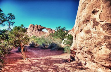 Yaz mevsiminde Arches Ulusal Parkı 'nda kırmızı kumtaşı oluşumları ve Utah' ta açık mavi gökyüzü.