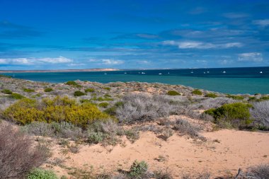 Köpekbalığı Körfezi panoramik manzarasında kırmızı kum tepeleri turkuvaz suları ve Batı Avustralya kıyı kayalıkları yer almaktadır..
