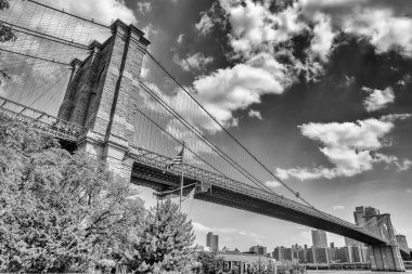 Iconic Brooklyn Köprüsü, Brooklyn Köprüsü Parkı 'ndan New York' ta yaz güneşinde görüldü..