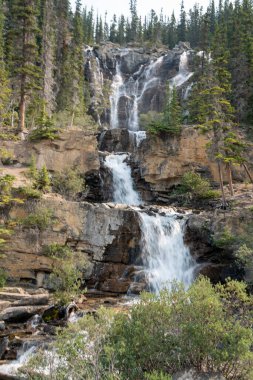 Banff Ulusal Parkı 'ndaki kayalık kanyonlardan geçen görkemli şelaleler gün ışığında Kanada Dağları ormanları manzarası..
