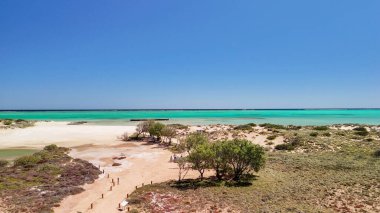 Ningaloo plajı ve Batı Avustralya 'daki göl manzarası güneşli gökyüzünün altında..