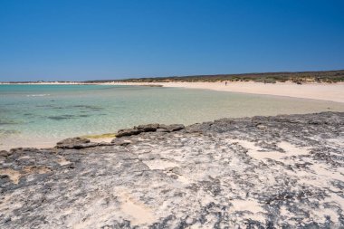 Güneşli bir günde kristal berraklığında turkuaz suyla Batı Avustralya 'daki manzaralı göl kıyısı..