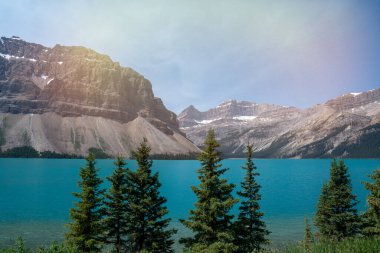 Peyto Gölü yaz manzarası turkuaz su ve berrak mavi gökyüzü.