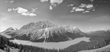 Peyto Gölü 'nün buzul tarlaları boyunca Alp tepeleri ve ormanlık kıyıları olan Alberta Canada Vista' nın ebedi siyah beyaz fotoğrafı..