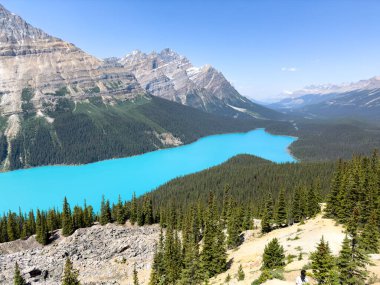 Yaz mevsiminde Peyto Gölü manzaralı Icefields Parkway boyunca turkuaz suyla.