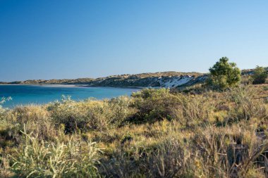 Idyllic Coral Bay plaj sahnesi, beyaz kumları, sığ mavi suları ve uzak resif ufkunu gösteriyor..