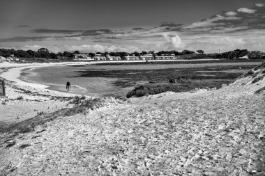 Güneşli yaz gününde Avustralya 'nın Havza Sahili Rottnest Adası manzarası.
