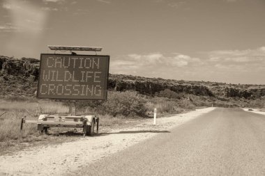 Vahşi yaşam uyarısı ile Avustralya yolunun manzarası yerli hayvanları ve doğal çevreyi vurguluyor..