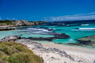 Rottnest Adası sahil şeridinin panoramik manzarası berrak suları ve güneş ışığında el değmemiş plajı gösteriyor..