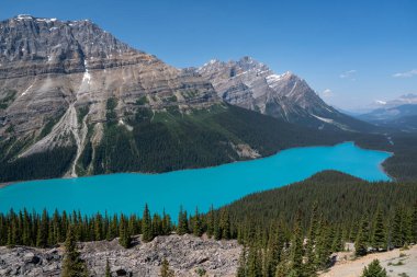 Yaz mevsiminde Peyto Gölü manzaralı Icefields Parkway boyunca turkuaz suyla.
