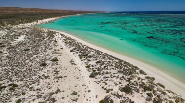 Turkuaz Körfezi Exmouth Ningaloo 'nun temiz turkuaz okyanus ve el değmemiş sahil şeridiyle drone görüntüsü..