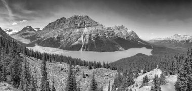 Yaz mevsiminde, mavi gökyüzünün altında Peyto Gölü 'nün muhteşem hava manzarası..