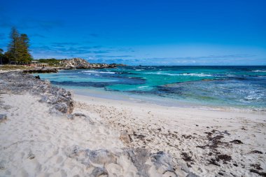 Güneşli yaz gününde Avustralya 'nın Havza Sahili Rottnest Adası manzarası.