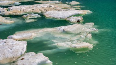 Jasper Ulusal Parkı 'nda kristal berraklığında Edith Cavell Gölü, sakin bir doğal çekilme..