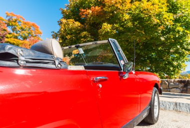 Vermont yeşillik, New England çarpıcı renkleri