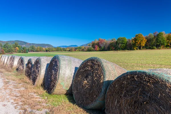 Hay bales in Vermont in foliage season — Stock Photo, Image