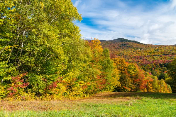 Потрясающие цвета листвы Вермонт, Новая Англия — стоковое фото
