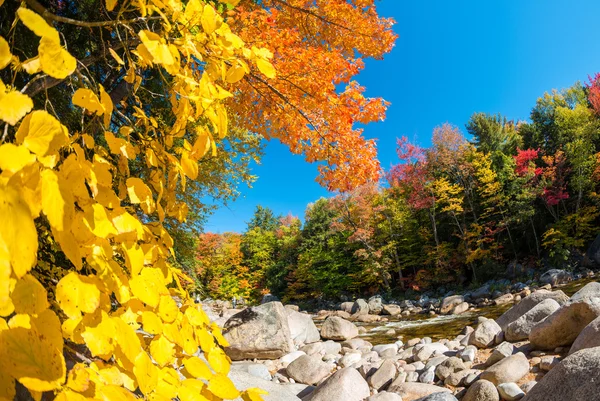 Fall foliage of New England, USA — Stock Photo, Image