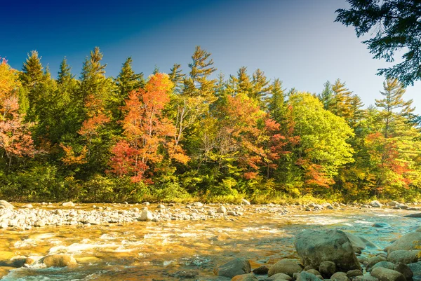 Fall foliage of New England, USA — Stock Photo, Image