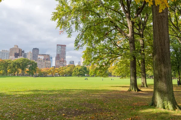 Edifici e fogliame a Central Park, Manhattan — Foto Stock