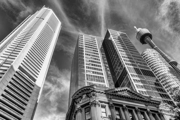 Skyline di Sydney in bianco e nero, Australia — Foto Stock