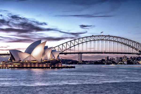 Sydney hermoso horizonte nocturno de Farm Cove —  Fotos de Stock