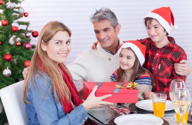 Anne alıcı Noel hediyesi