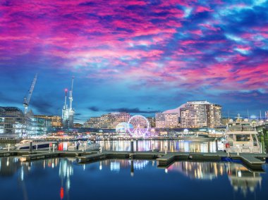 Darling Harbour, Sydney, modern binalar. Şehir gece manzarası