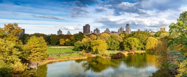 Central Park, New York City'deki yeşillik renkleri