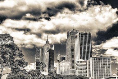 Sydney binaları ve şehir silüeti