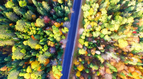 ニュー イングランド紅葉の美しい色。空中鳥瞰図 — ストック写真