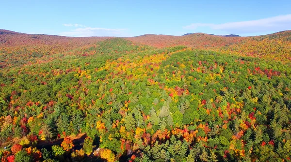 Buntes Feld von Bäumen an der Seite eines Berges im Herbst — Stockfoto