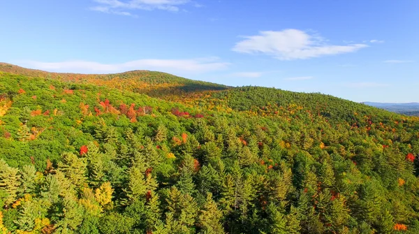 新英格兰秋天的树叶.空中景观 — 图库照片